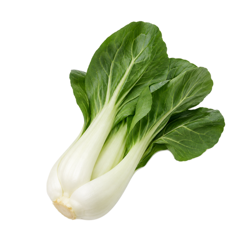 Illustration of Cabbage, Chinese, raw