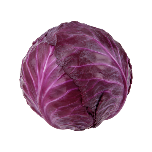 Illustration of Cabbage, red, raw