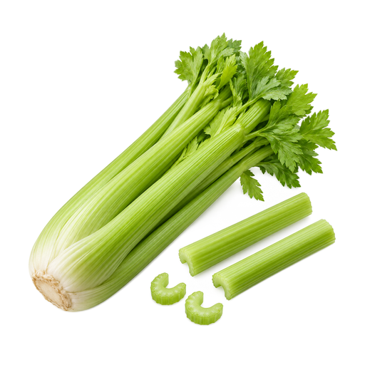 Illustration of Celery, raw