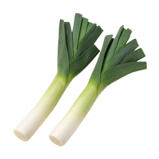 Illustration of Leeks, bulb and greens, root removed, raw