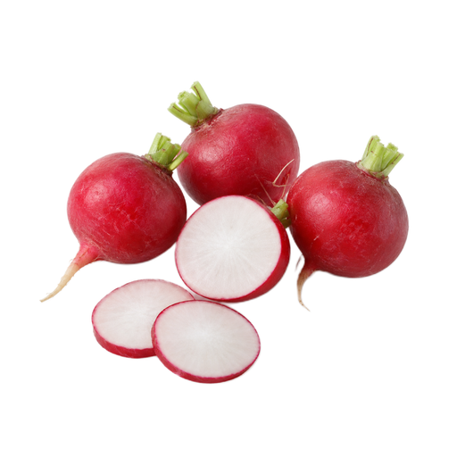 Illustration of Radishes, red, raw