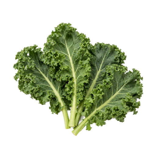 Illustration of Kale, raw